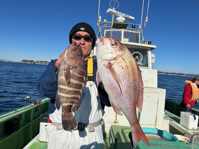 タイ(マダイ)・ハタ(マハタ)