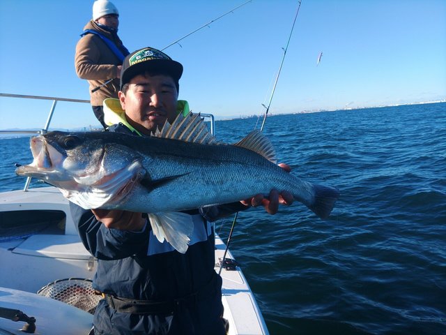 シーバス(スズキ)