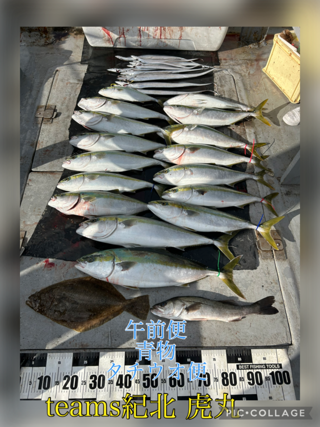 スズキ・ブリ・ハマチ(ブリ)・メジロ(ブリ)・タチウオ・ヒラメ