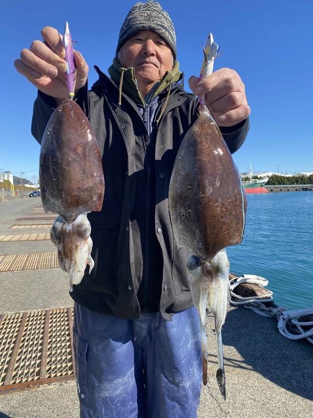 モンゴウ(カミナリイカ)