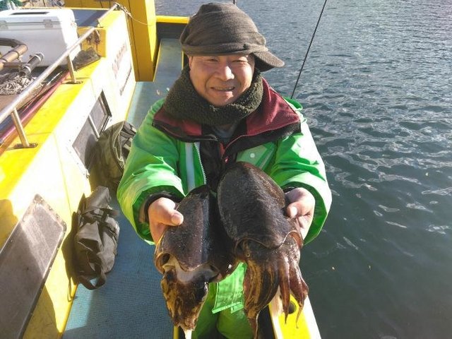 スミイカ(コウイカ)