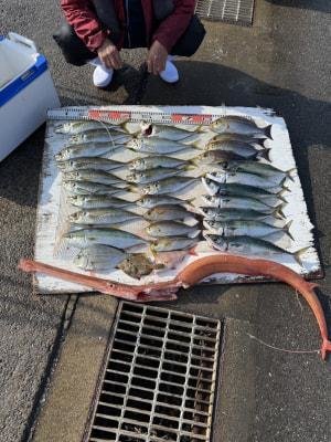 マダイ・マアジ・カワハギ・アカヤガラ