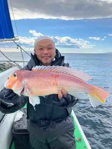 アマダイ(アカアマダイ)