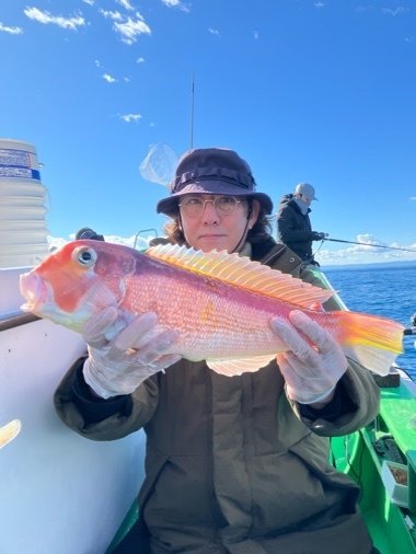 アマダイ(アカアマダイ)