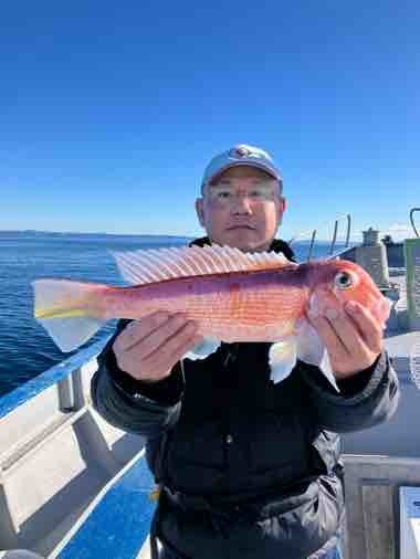 アマダイ(アカアマダイ)