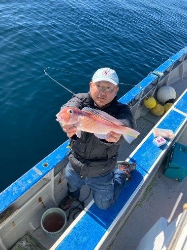 アマダイ(アカアマダイ)