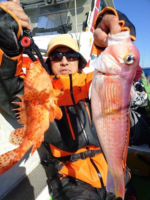 アマダイ(アカアマダイ)・オニカサゴ