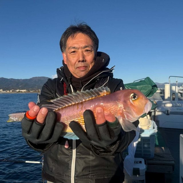 アマダイ(アカアマダイ)