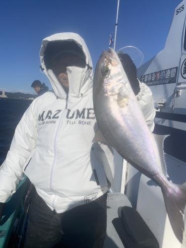 ショゴ(カンパチ)