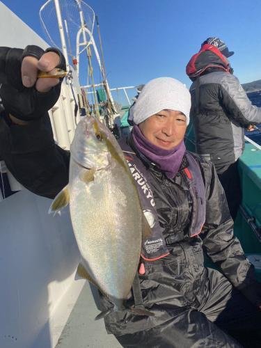 ショゴ(カンパチ)