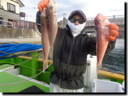 アマダイ(アカアマダイ)