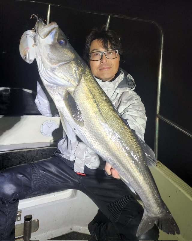 シーバス(スズキ)