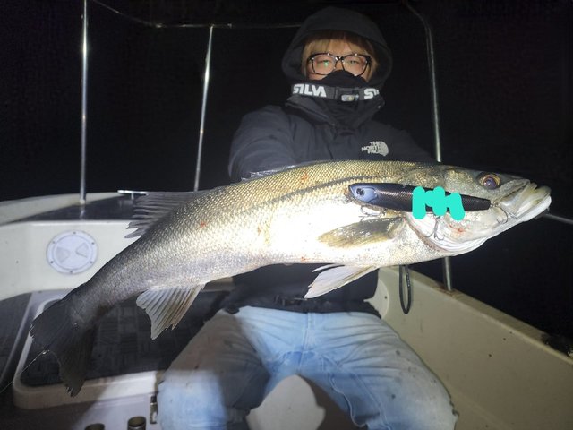 シーバス(スズキ)