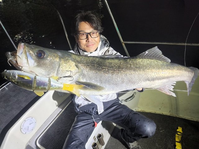 シーバス(スズキ)