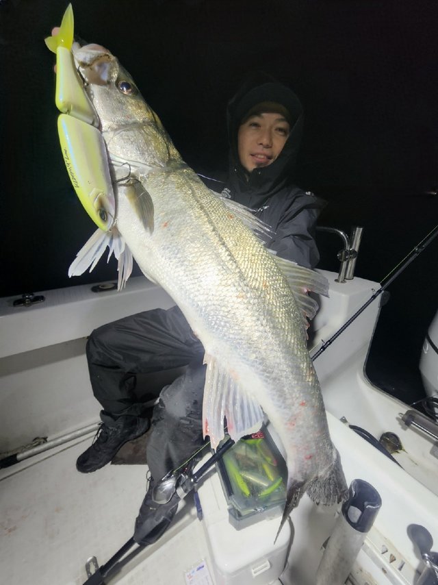 シーバス(スズキ)