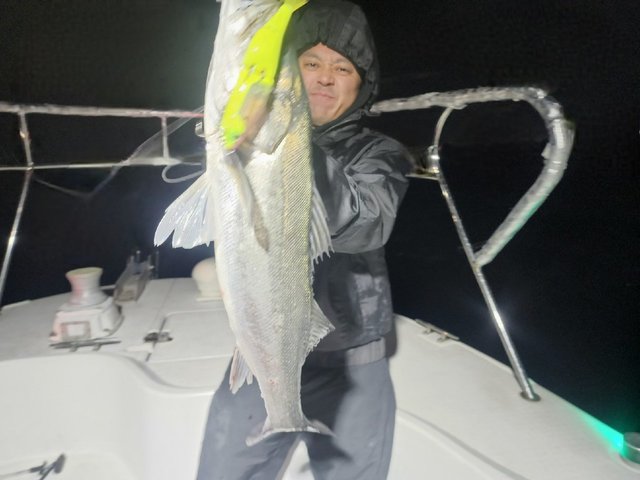 シーバス(スズキ)