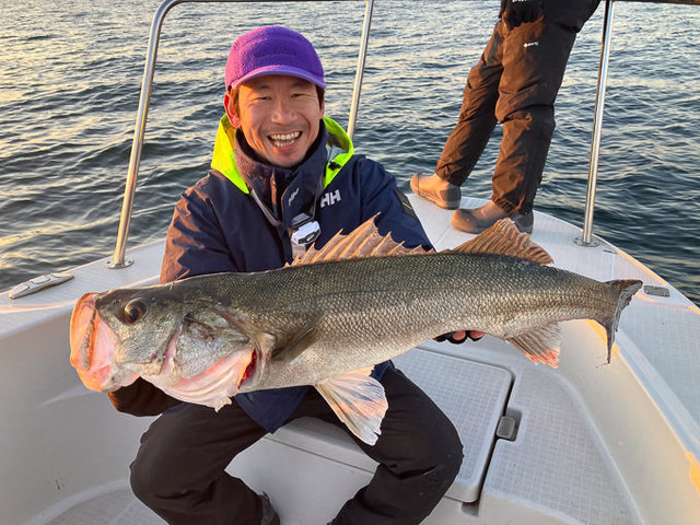 シーバス(スズキ)