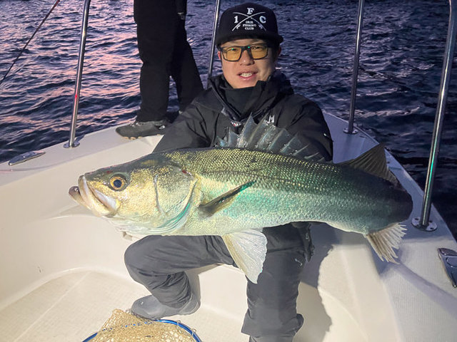 シーバス(スズキ)