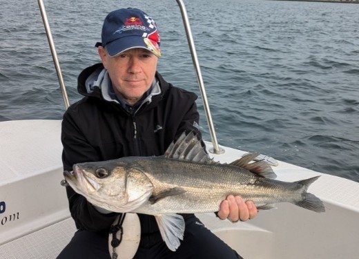 シーバス(スズキ)