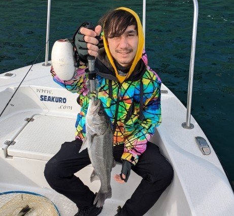 シーバス(スズキ)