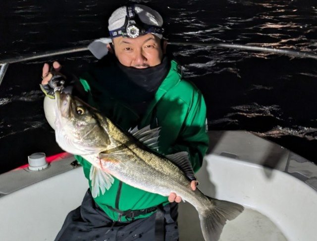 シーバス(スズキ)