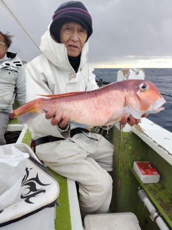 アマダイ(アカアマダイ)