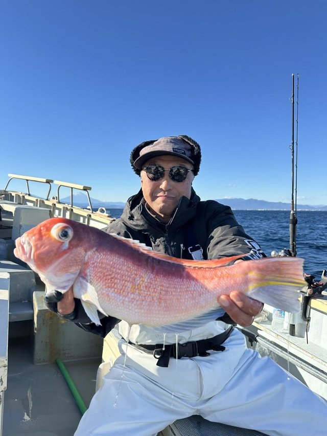 アマダイ(アカアマダイ)