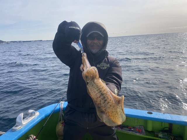 アオリ(アオリイカ)