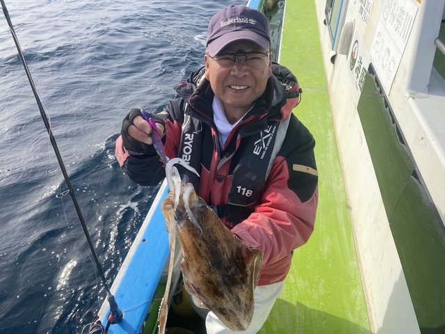 アオリ(アオリイカ)