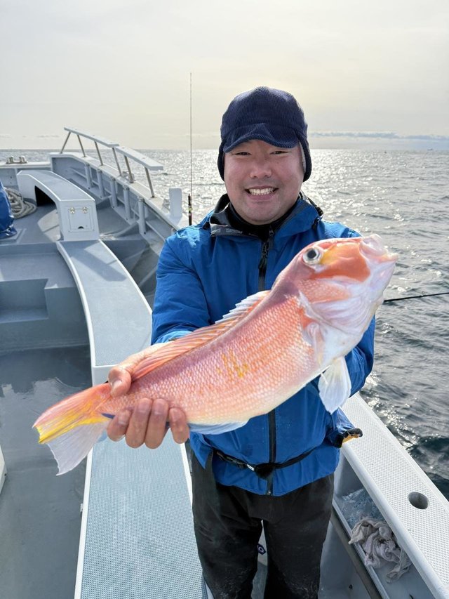 アマダイ(アカアマダイ)