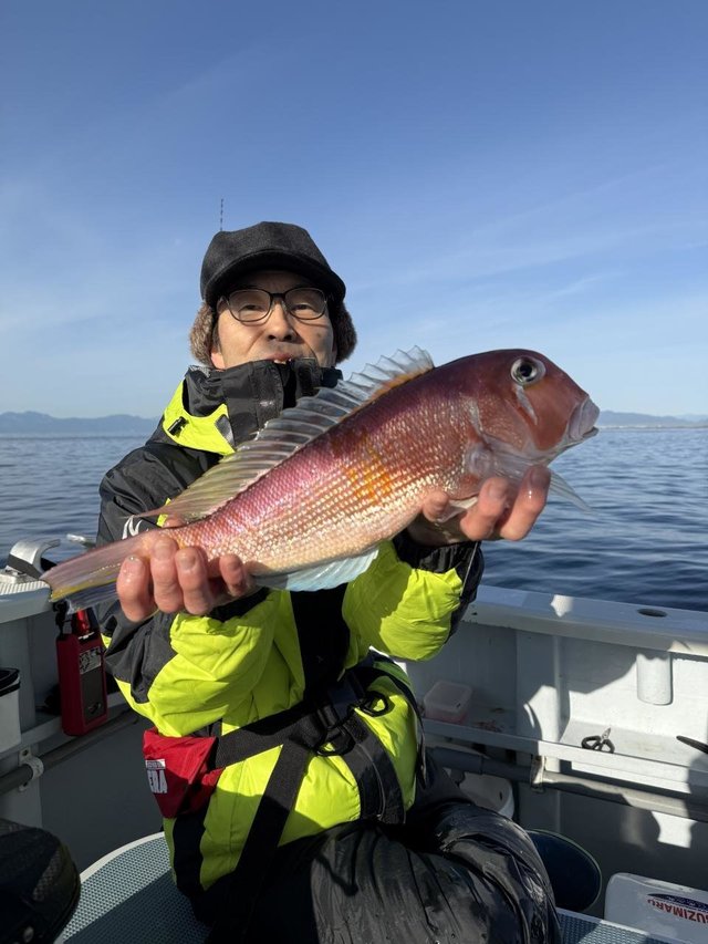 アマダイ(アカアマダイ)