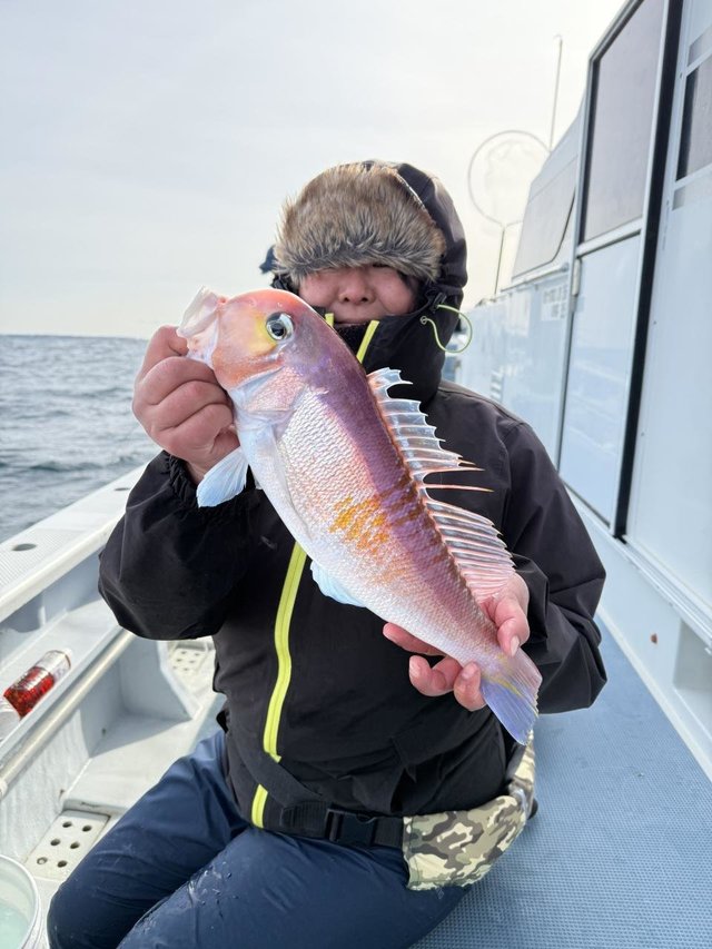 アマダイ(アカアマダイ)