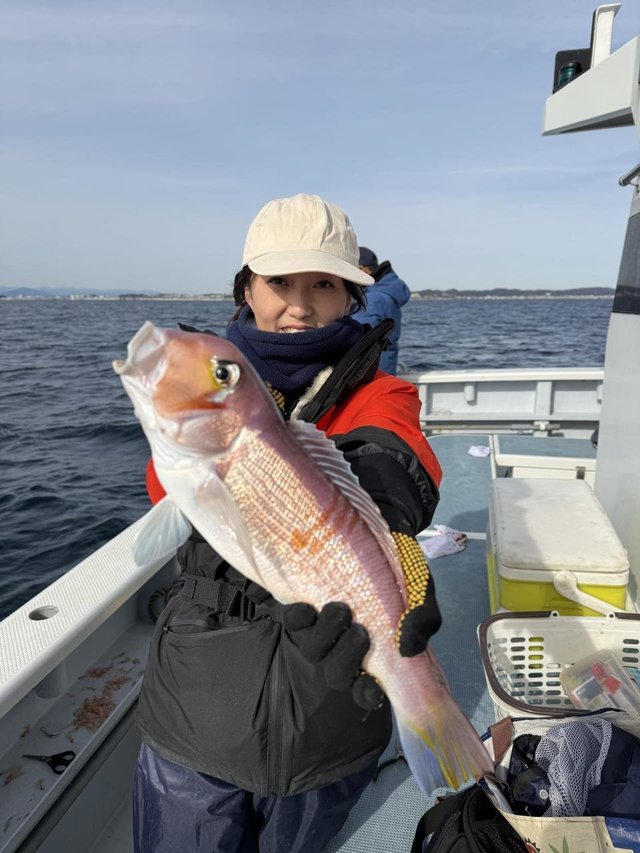 アマダイ(アカアマダイ)