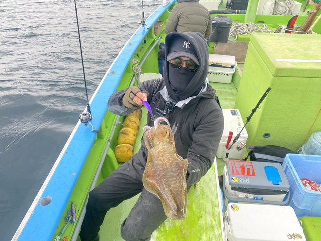 アオリ(アオリイカ)