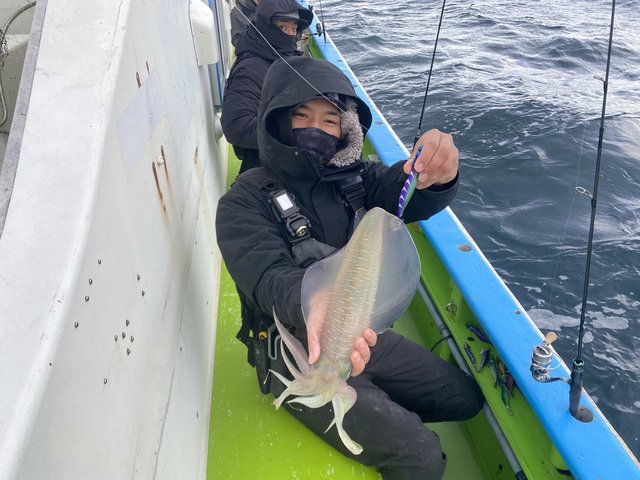 アオリ(アオリイカ)