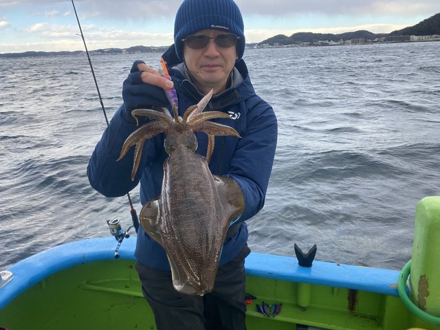 アオリ(アオリイカ)