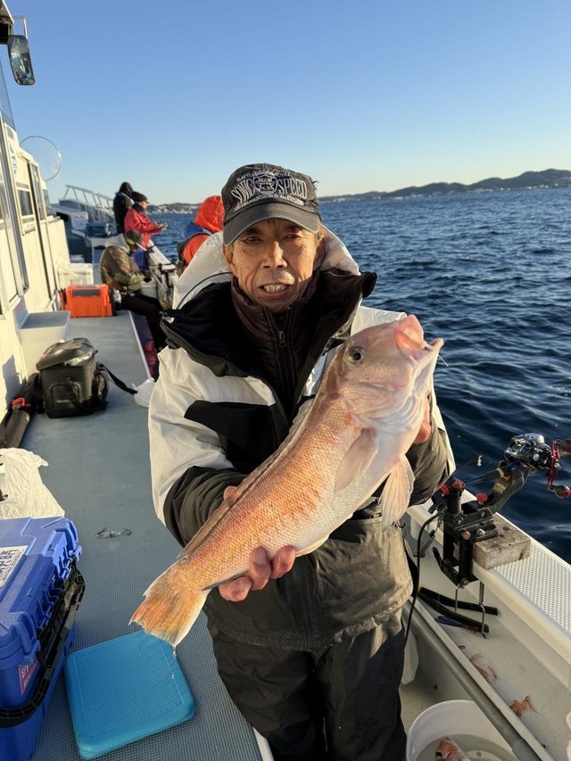 アマダイ(アカアマダイ)