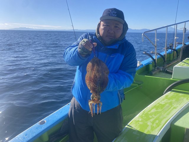 アオリ(アオリイカ)