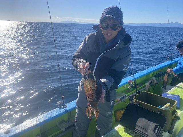 アオリ(アオリイカ)