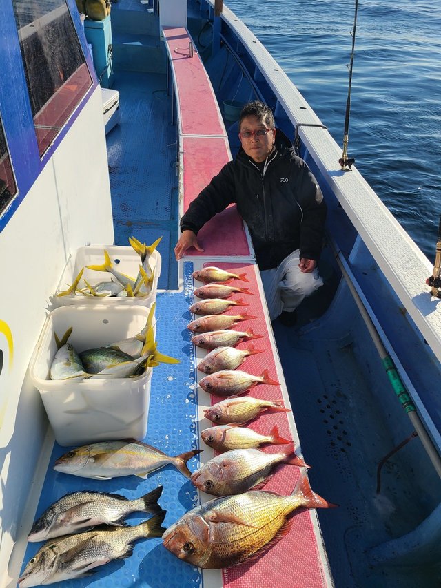 マダイ・クロダイ・イナダ(ブリ)