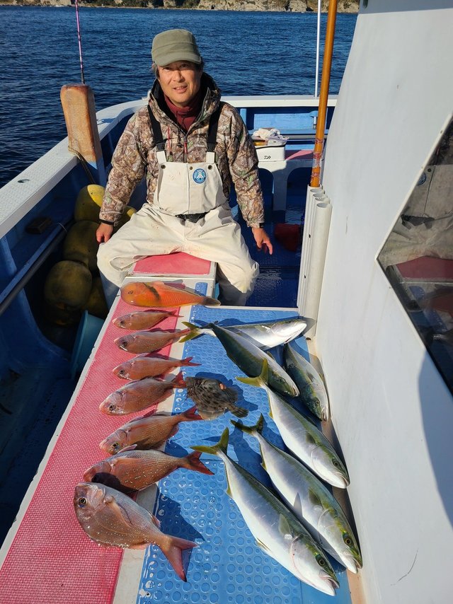 マダイ・イナダ(ブリ)