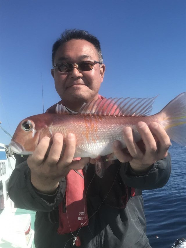 アマダイ(アカアマダイ)