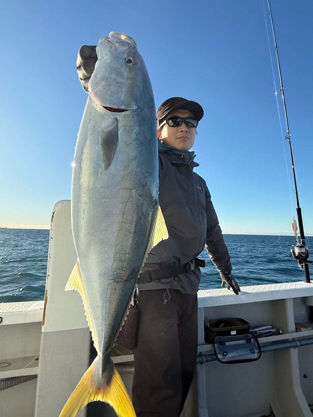 サンパク(ブリ)