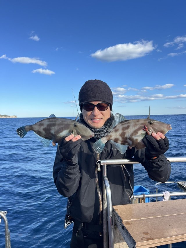 ウマズラハギ(ウマヅラハギ)