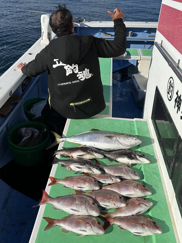 マダイ・ワラサ(ブリ)