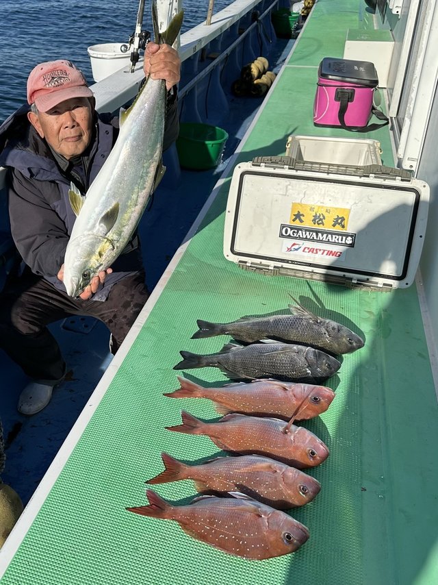 マダイ・クロダイ・ワラサ(ブリ)