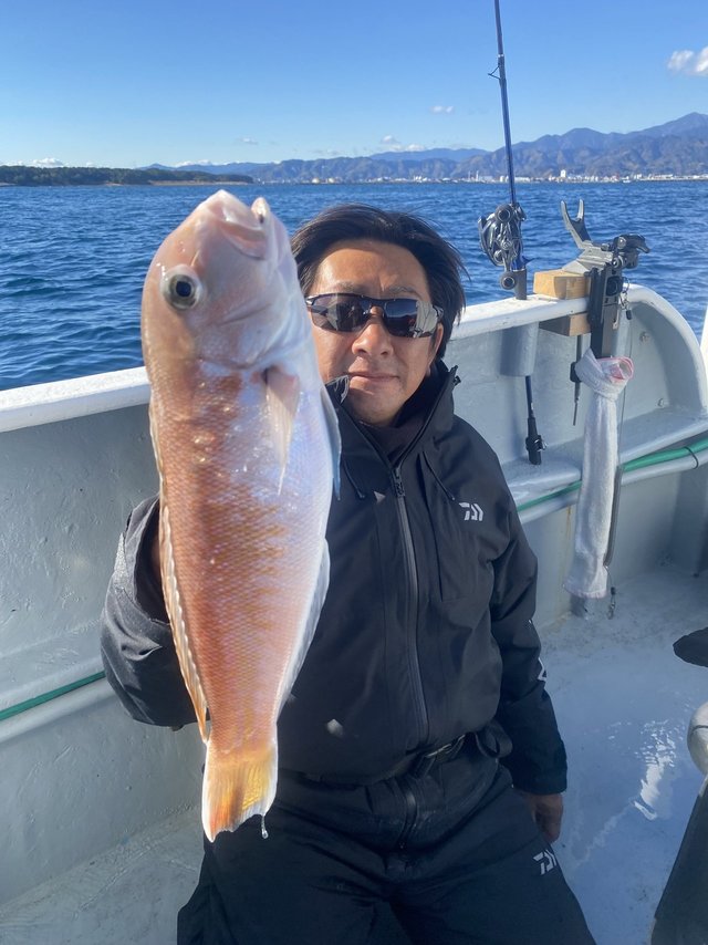 アマダイ(アカアマダイ)