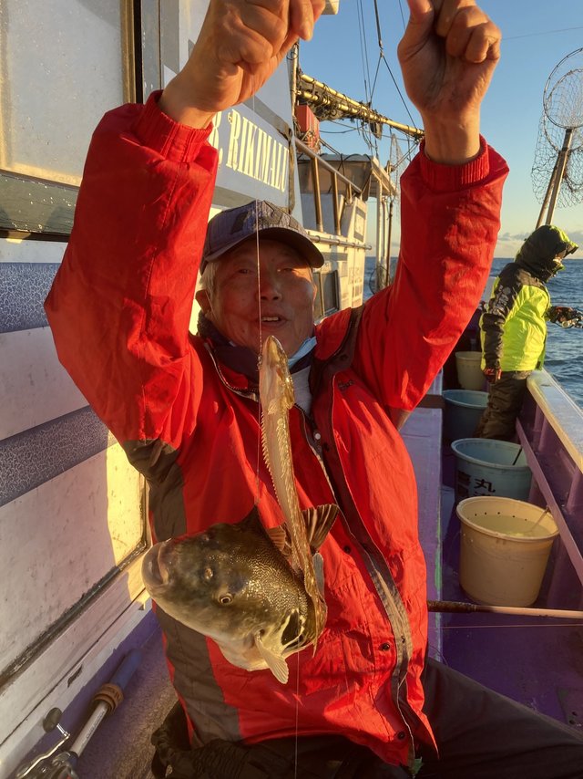 ヒラメ・タコ(マダコ)