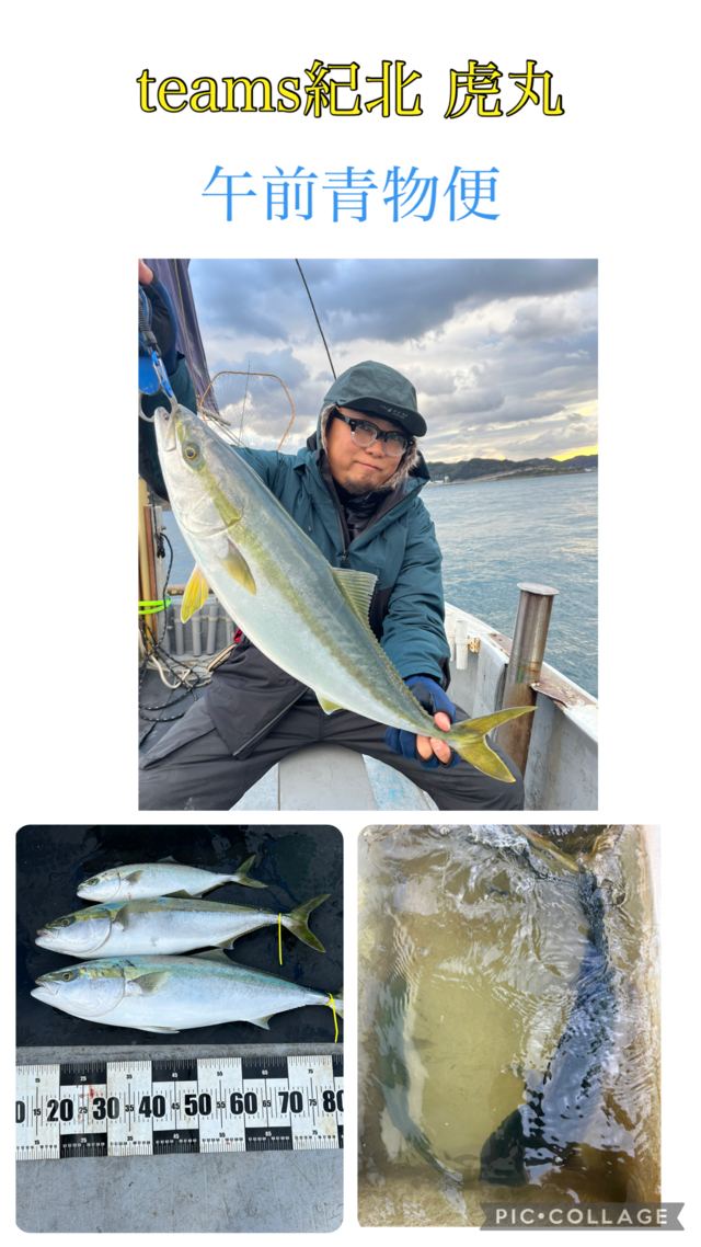 ブリ・ハマチ(ブリ)・メジロ(ブリ)