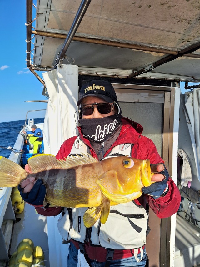 アオナ(アオハタ)